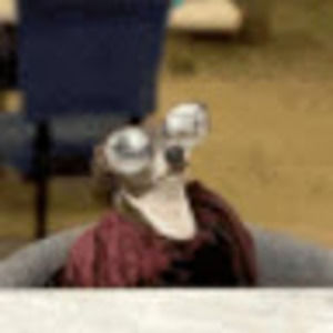 Meet your Posher, Arielle